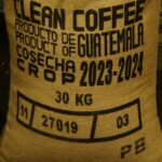 グァテマラ　ピーベリー　浅煎り　袋